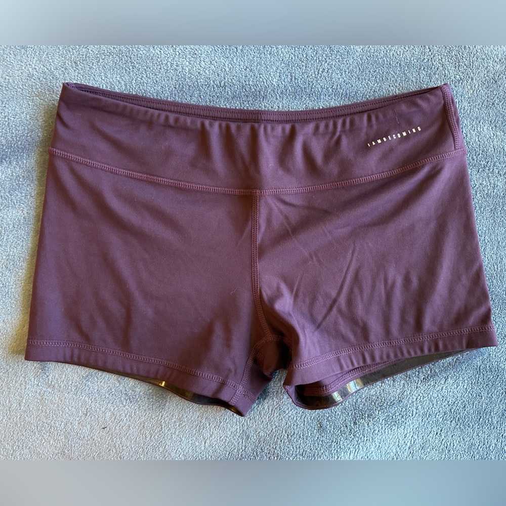 NWOT IAB Purple No Ride Booty Shorts